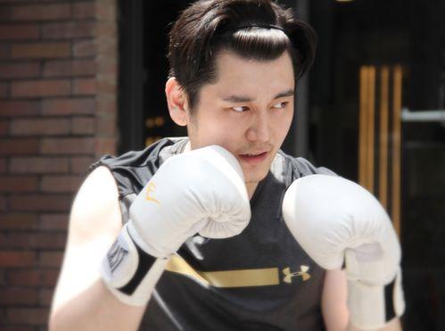 金佳悦视频爆料大全下载,揭秘幕后真相与精彩瞬间